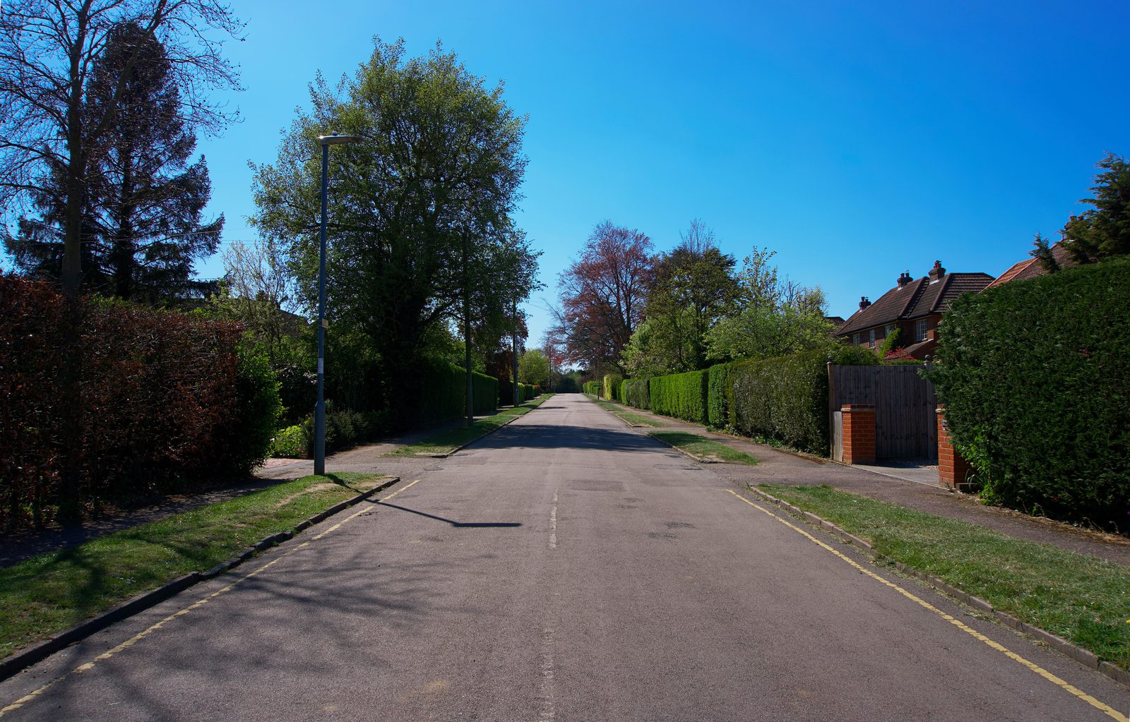 A quiet residential street of brick houses and front gardens in the North East