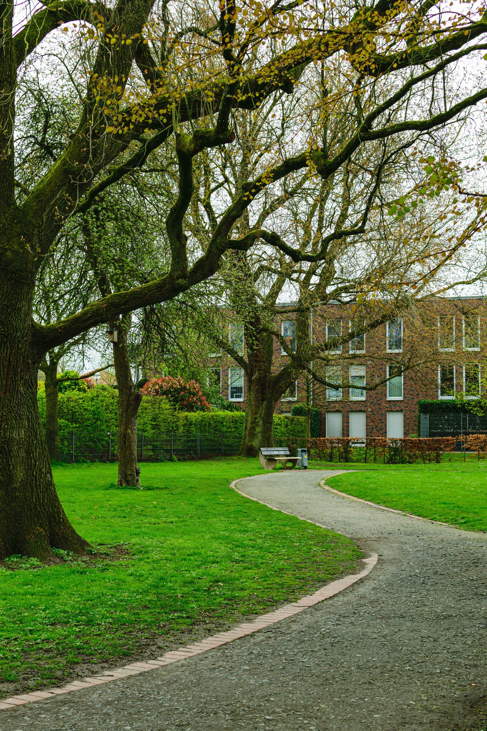 Smooth bound gravel garden path with brick edging